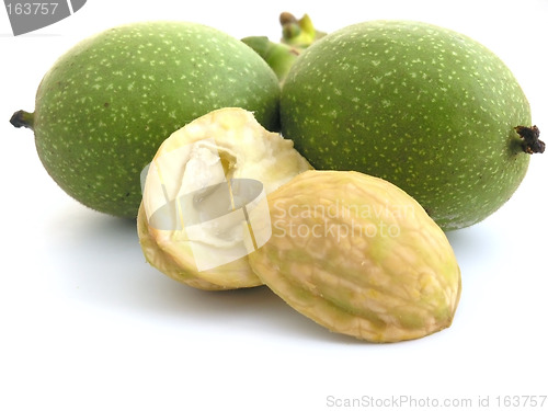 Image of walnut