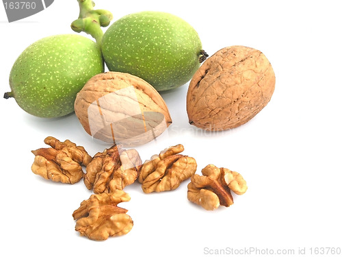 Image of walnut