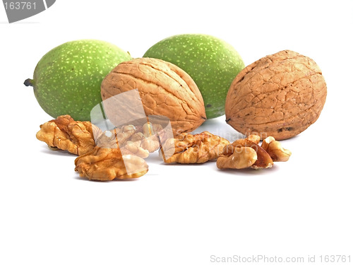 Image of walnut