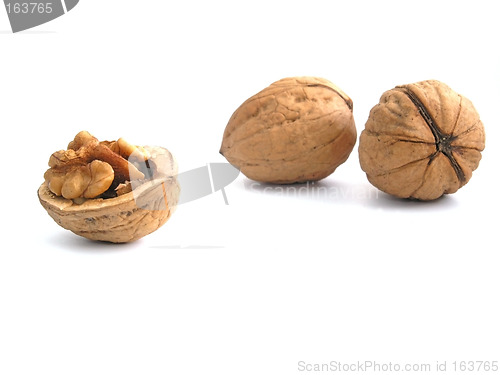 Image of walnut