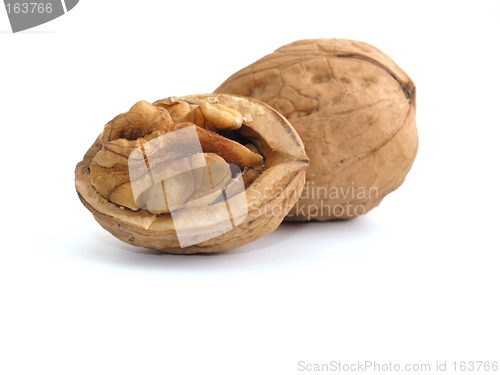 Image of walnut