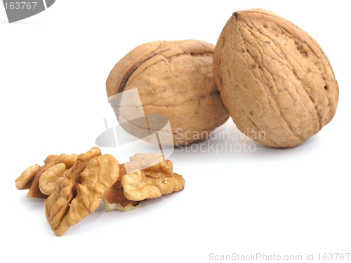 Image of walnut