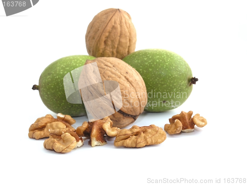 Image of walnut