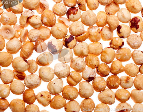 Image of Hazelnuts Background