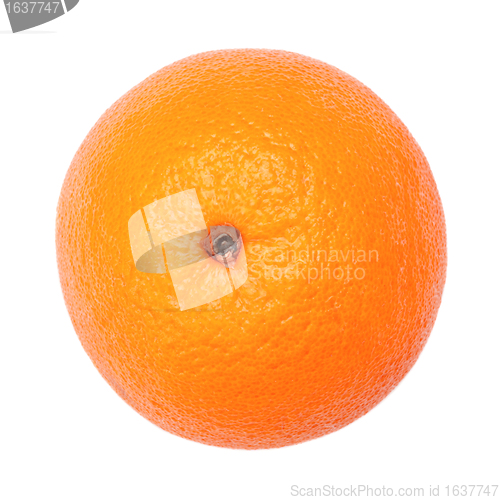 Image of Fresh Orange