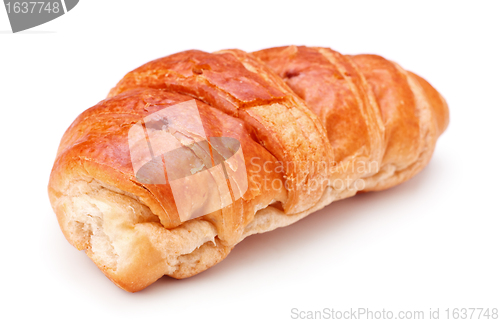 Image of Fresh Croissant