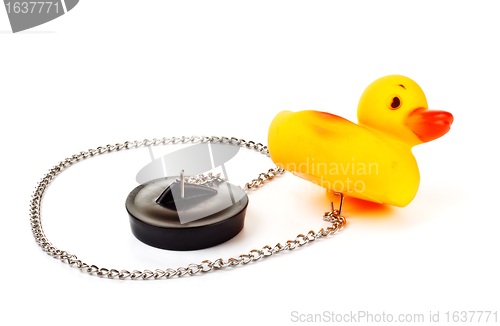 Image of toy duck with plug for bath