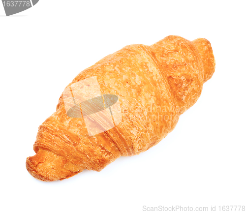 Image of fresh croissant