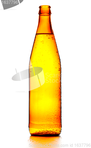 Image of Beer Bottle