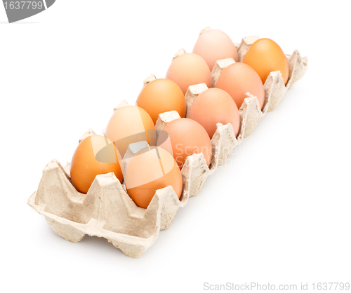 Image of Eggs In Tray
