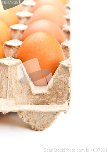 Image of Eggs In Tray