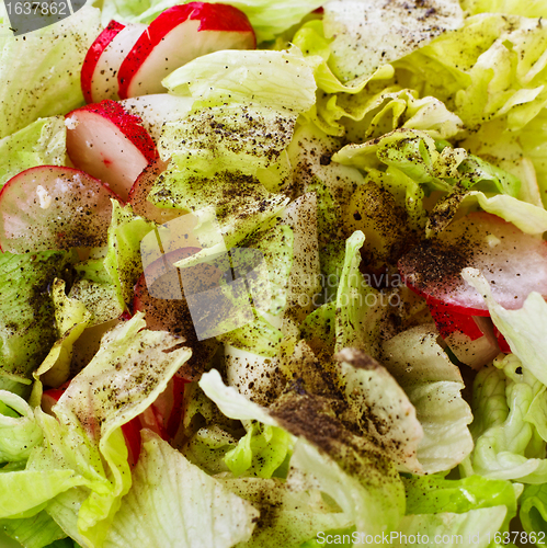 Image of Fresh Salad