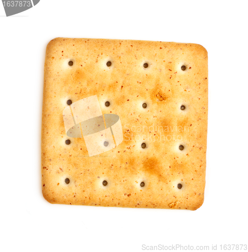 Image of Salty Cracker