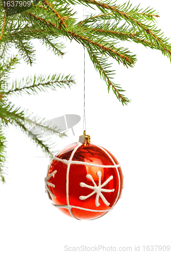 Image of red decoration ball on spruce branch