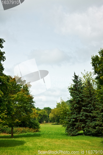 Image of green park