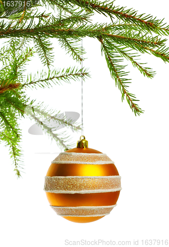 Image of decoration ball on fir branch