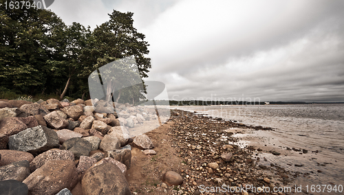 Image of Desolate Rocky Beach