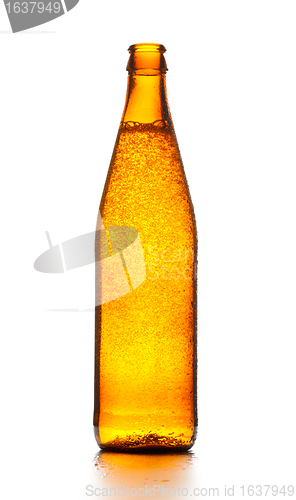 Image of Beer Bottle