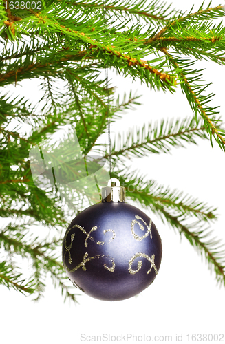 Image of decoration ball on fir branch