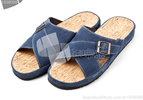 Image of two blue slippers