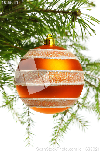 Image of decoration ball on fir branch