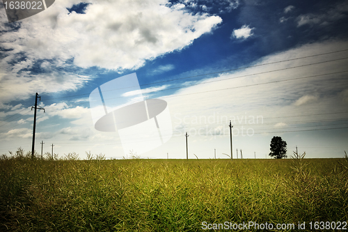 Image of Nature Rural Landscape