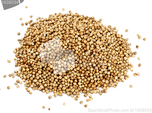 Image of coriander seeds