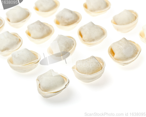 Image of Raw Meat Dumplings