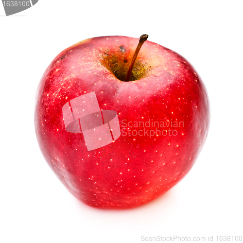 Image of Red Apple
