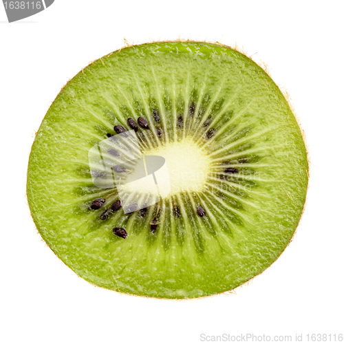 Image of Kiwi Slice