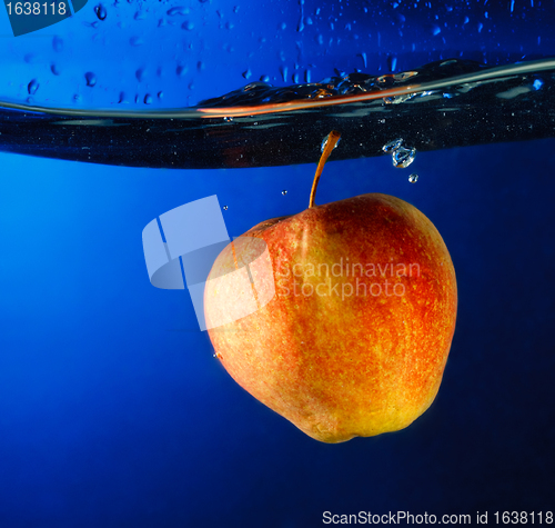 Image of Apple Float Under Water