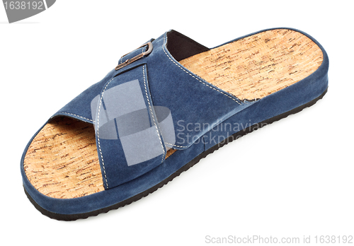 Image of blue slipper