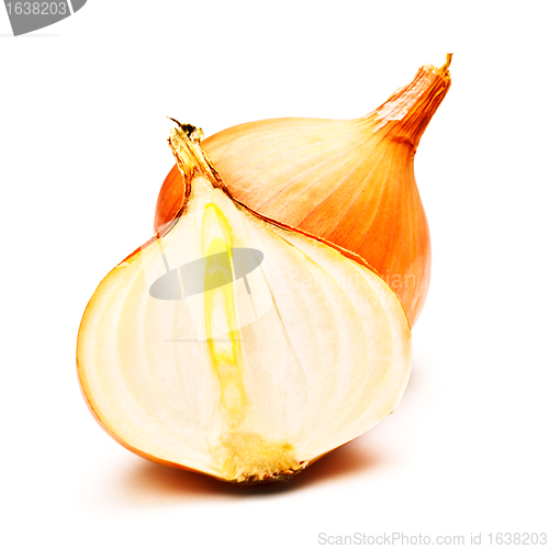 Image of Two Onions