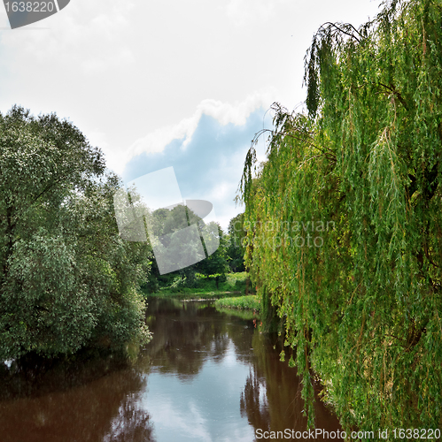 Image of river in forest