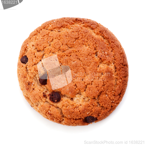 Image of Single Chocolate Chip Cookie