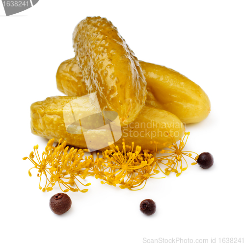 Image of Dill Pickles