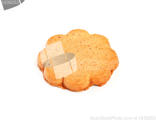 Image of cinnamon cookie