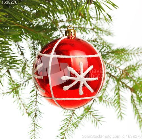 Image of red decoration ball on pine branch