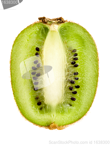 Image of Kiwi Slice