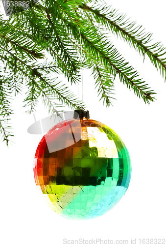 Image of decoration ball on fir branch