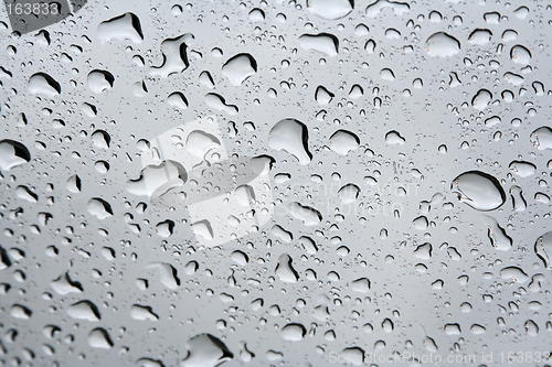 Image of Rain drops