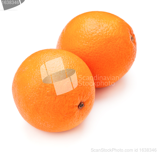 Image of Fresh Oranges