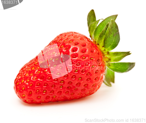 Image of Strawberry