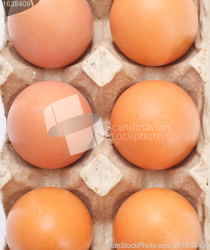 Image of Eggs In Tray