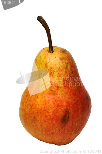 Image of Pear