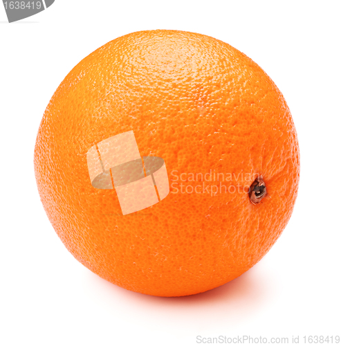 Image of Orange
