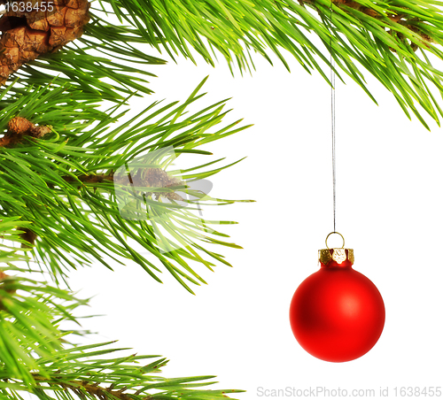 Image of decoration ball on pine branch