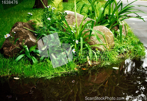 Image of grass and tiny pool