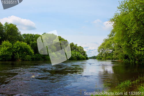 Image of river in forest