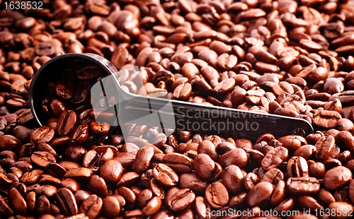 Image of Coffee Beans and Measuring Spoon